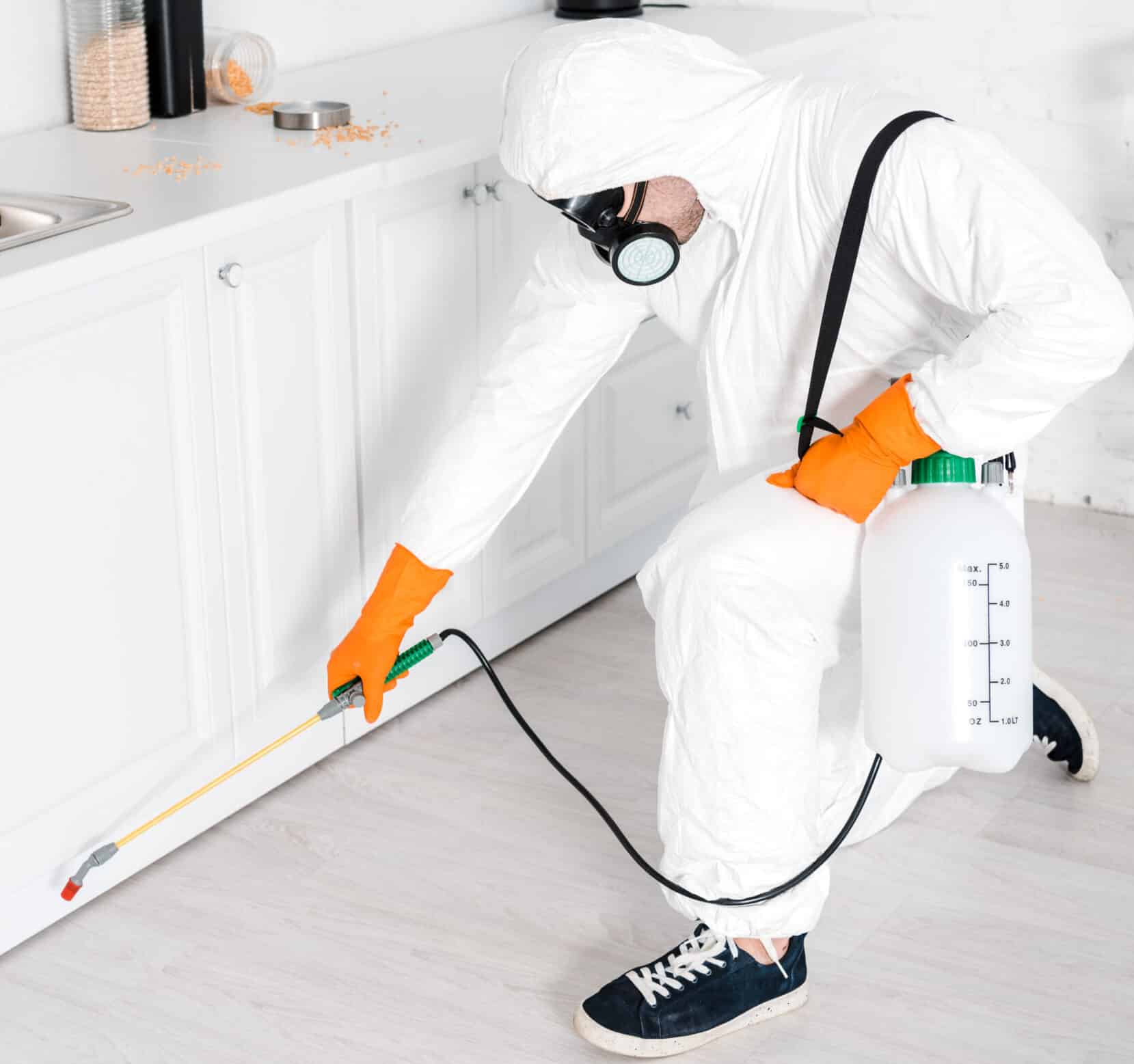 exterminator holding toxic equipment near kitchen cabinet