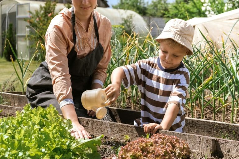 Gardening Family gardeners plant a plant in the ground.Agroculture.plants garden, farming, freelance