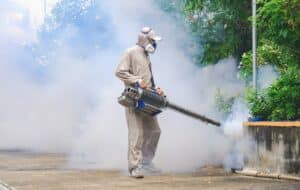 Healthcare worker spraying chemical to eliminate mosquitoes in overgrown area on roadside