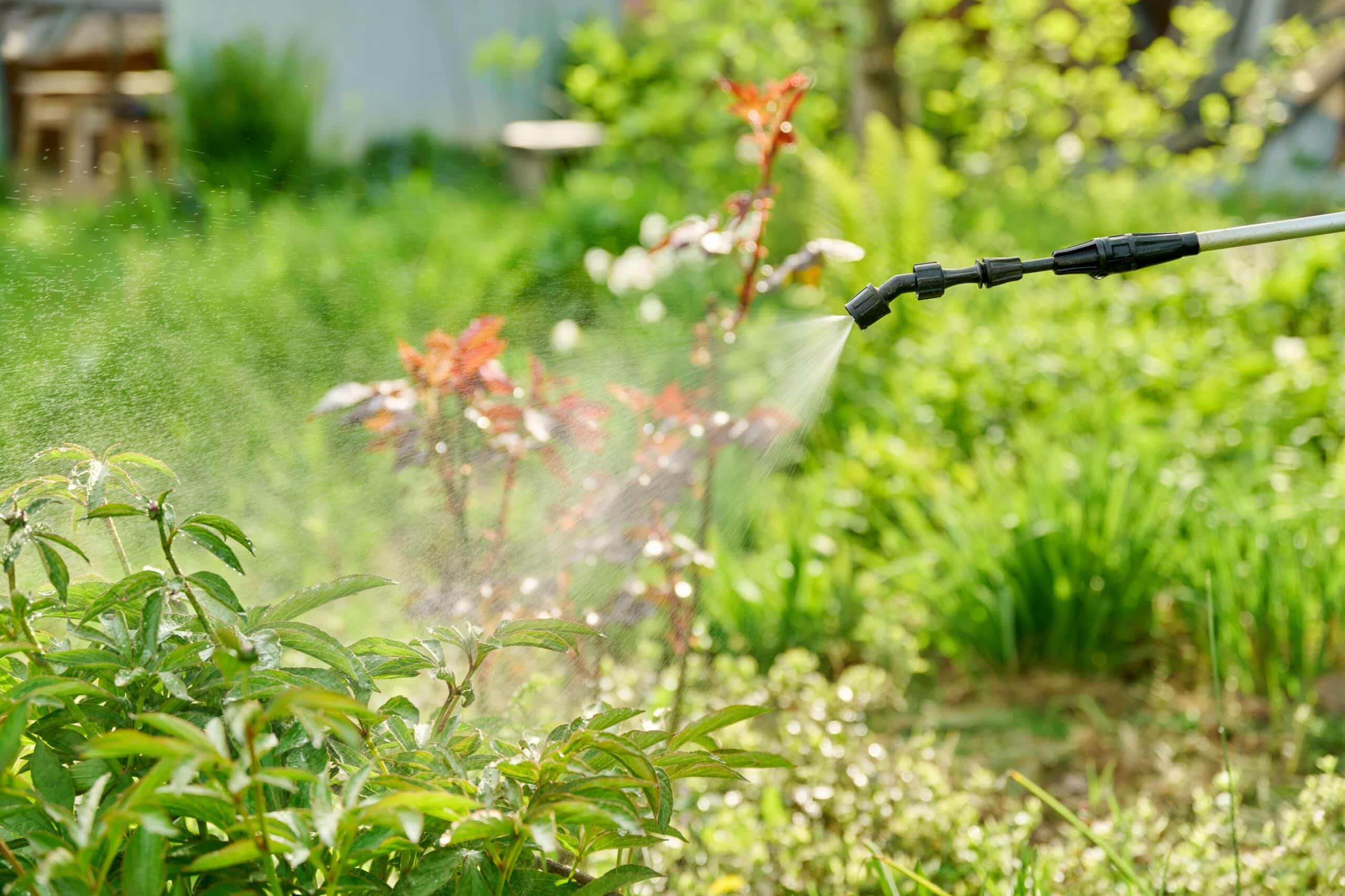 Technician applying a mosquito barrier treatment along shrubs in a Bessemer, Alabama yard