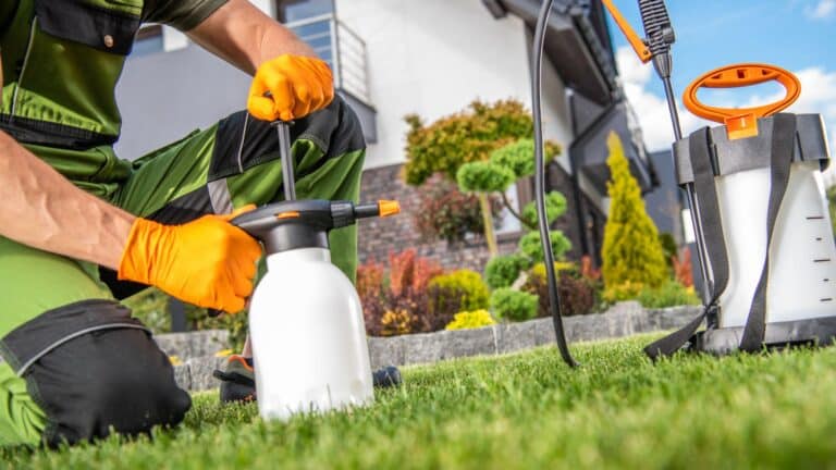 back-yard-garden-insecticide-job