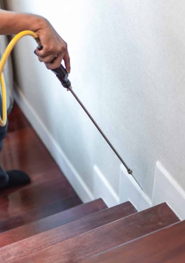 Asian Thailand termite staff company is spraying the destroy chemical liquid in to white ant nest in the wood around human house.